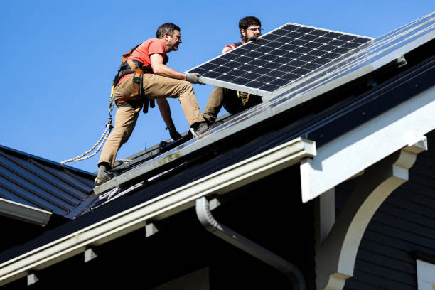 Best Roof Moss and Algae Removal  in New Berlin, WI